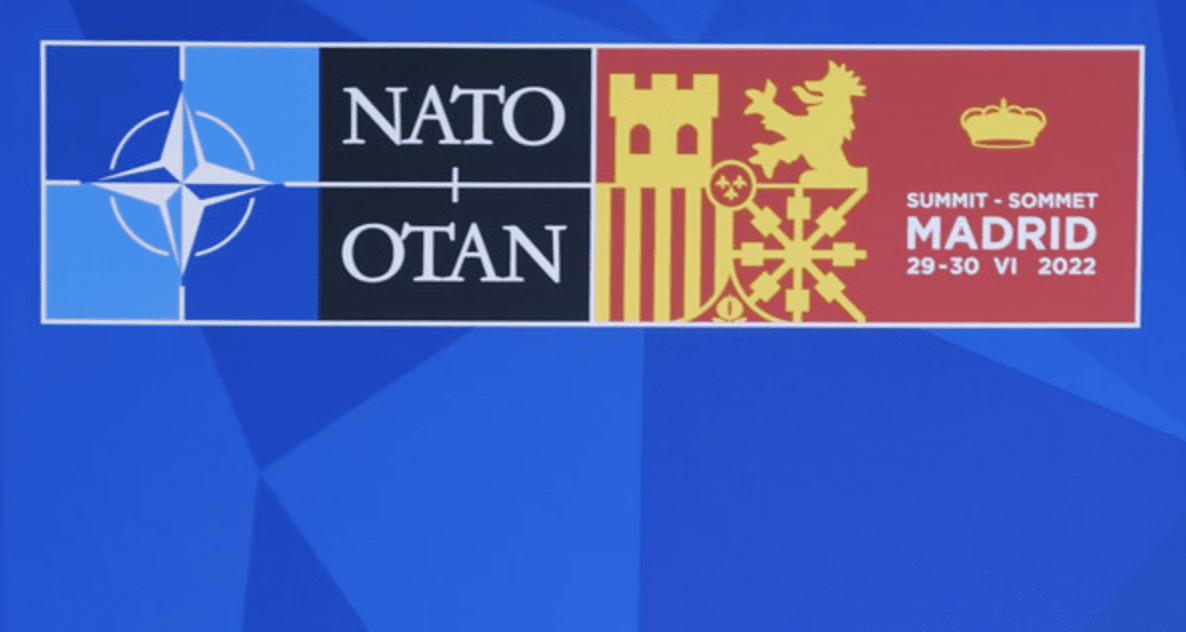 Is Turkey the “Gatekeeper” of NATO? 